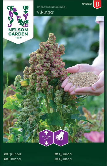Nelson Garden Quinoa Vikinga
