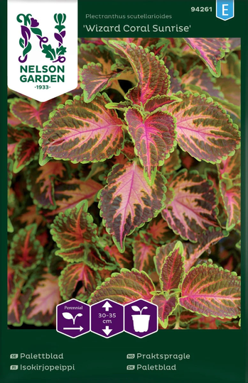 Nelson Garden Palettblad Wizard Coral Sunrise