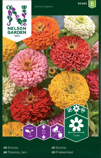 Nelson Garden Zinnia Hög Mix