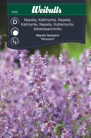 Weibulls Nepeta Kant