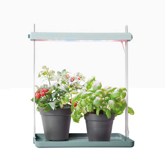 Odlingsstation Light Garden