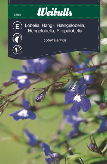 Weibulls Hänglobelia Blå