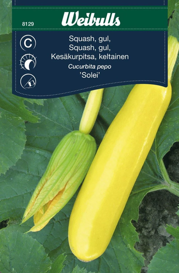 Weibulls Squash Solei