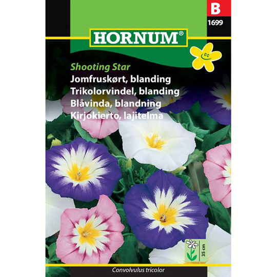Blåvinda 'Shooting Star'