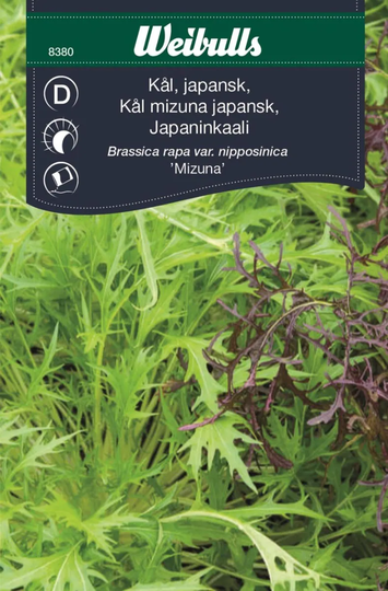 Weibulls Japansk Kål