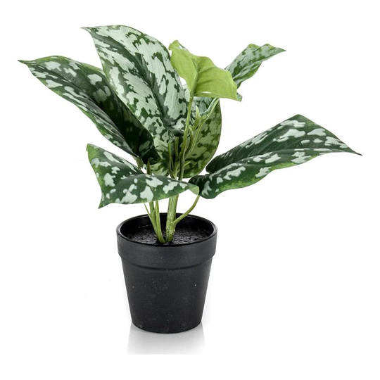 Emerald Konstväxt Silverranka Scindapsus 24cm Kruka