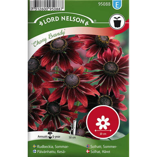Sommarrudbeckia 'Cherry Brandy'