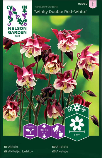 Nelson Garden Akleja Winky Double Red-White