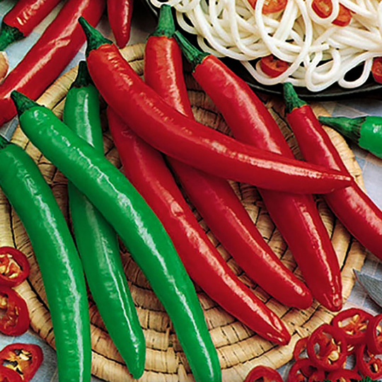 Chilipeppar, Cayenne Long Slim