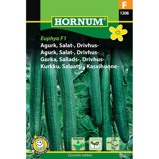 HORNUM Salladsgurka Växthus Futura F1