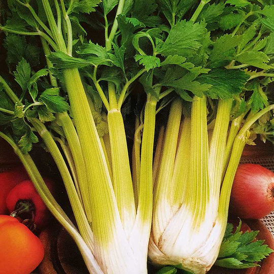 Bladselleri 'Nuget'
