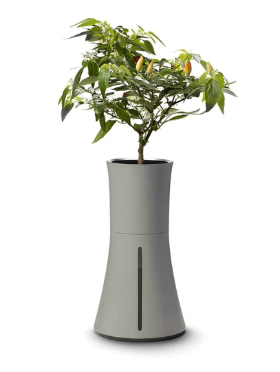 Botanium Odlingskruka Ash Grey