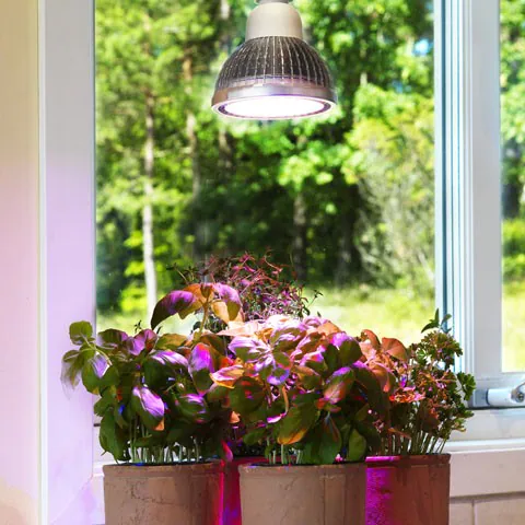 Venso EcoSolutions Växtlampa Odla 18W 60°