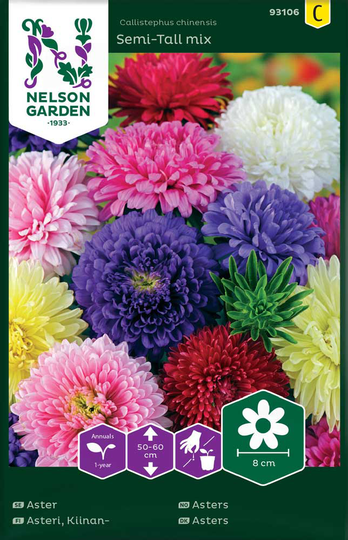 Nelson Garden Aster Dubbel Mix