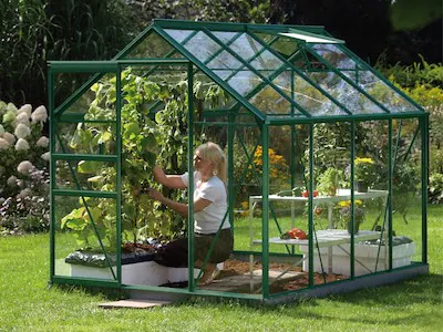 Vitavia Växthus Venus 5000 Grön Glas