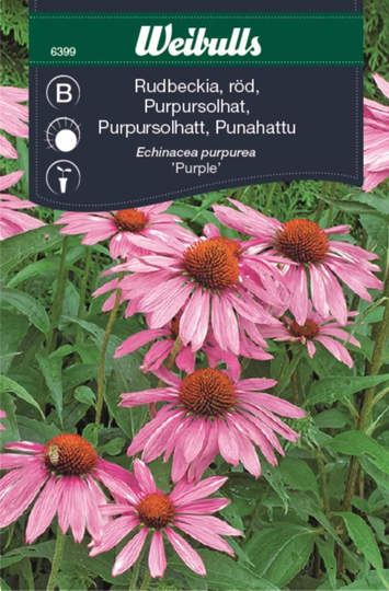 Weibulls Rudbeckia Röd