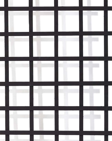 Nelson Garden Träspaljé Svart 75x170cm