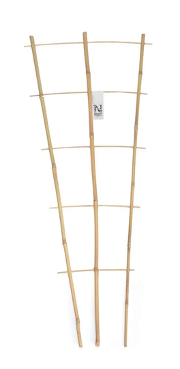 Nelson Garden Krukspaljé bambu 90cm