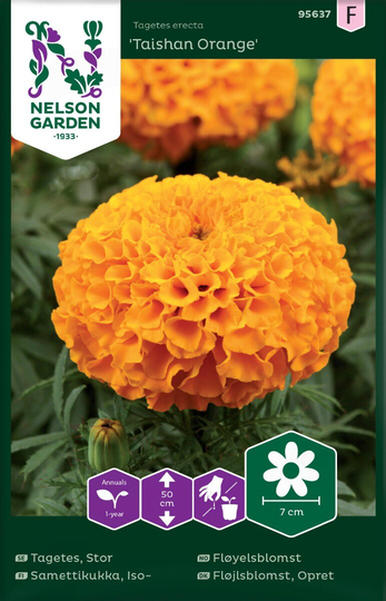 Nelson Garden Tagetes Stor Taishan Orange