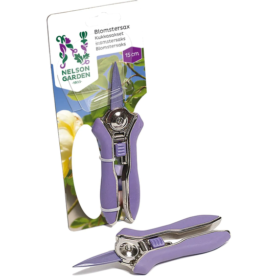 Nelson Garden Blomstersax 15 cm Lila