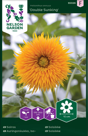 Nelson Garden Solros Double Sunking