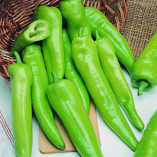 Chilipeppar (Hot) 'Anaheim'