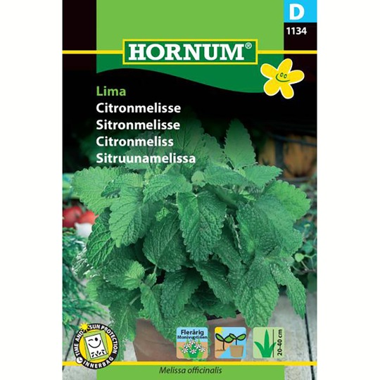 Citronmeliss 'Lima'