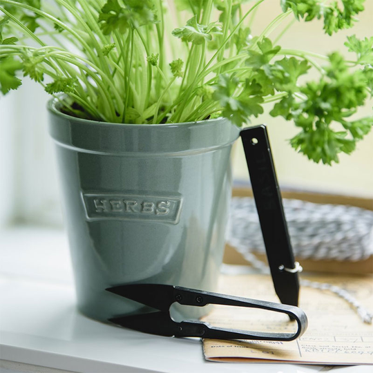 Örtkruka 'Gardener's Pot'