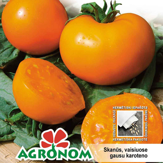 Tomat 'Oranze'