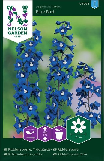 Nelson Garden Riddarsporre Blue Bird