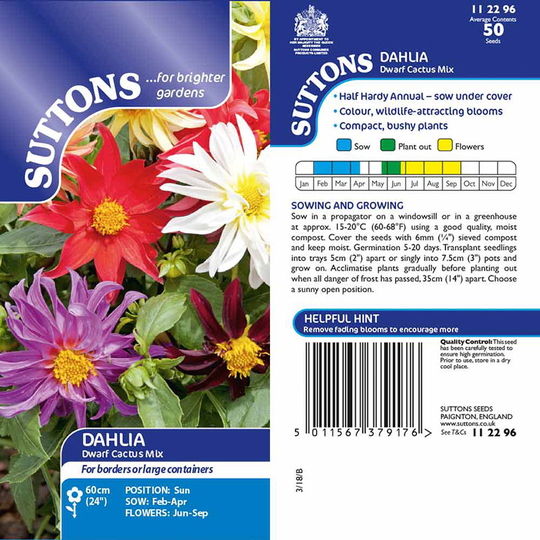 Dahlia 'Cactus Mix'