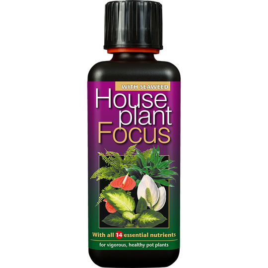 Krukväxtnäring Houseplant Focus, 300 ml