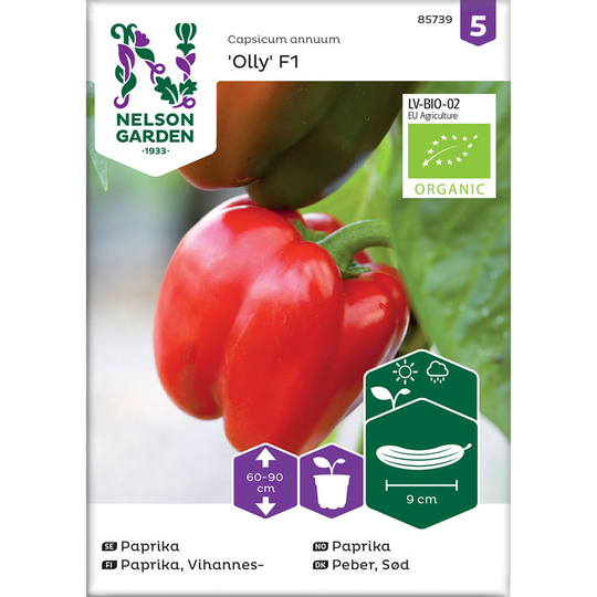 Paprika 'Olly F1', ekologisk