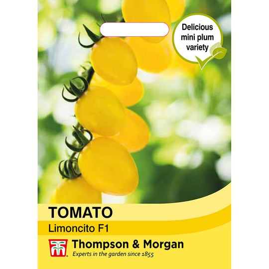 Tomat 'Limoncito' F1