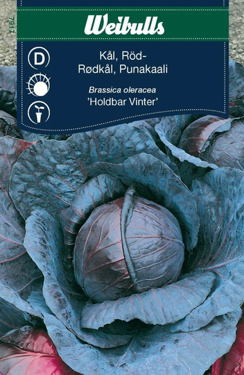 Weibulls Rödkål