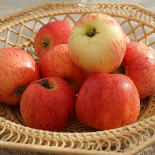 Ympris äpple 'Maglemer'