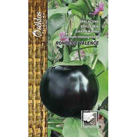 Aubergine 'Ronde de Valence'