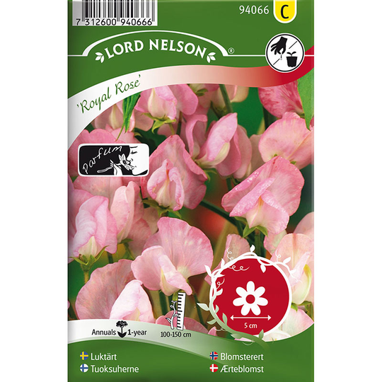 Luktärt 'Royal Rose'