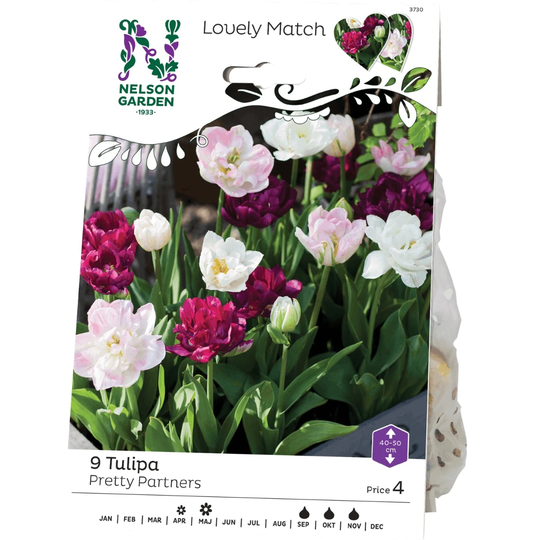 Nelson Garden Tulipa LM Pretty Partners