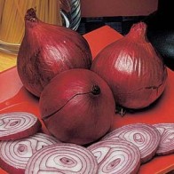 Lök 'Red Baron'