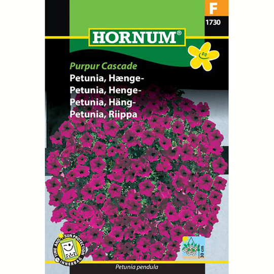 Hängpetunia 'Purpur Cascade'