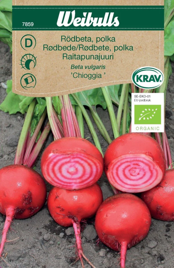 Weibulls Rödbeta KRAV Chioggia Polka