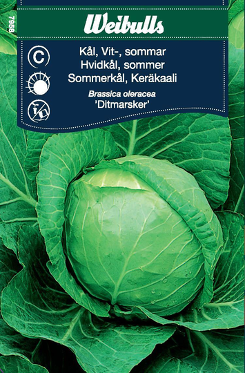 Weibulls Kålhuvudet Vit Sommar