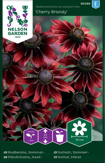 Nelson Garden Rudbeckia Sommar Cherry Brandy