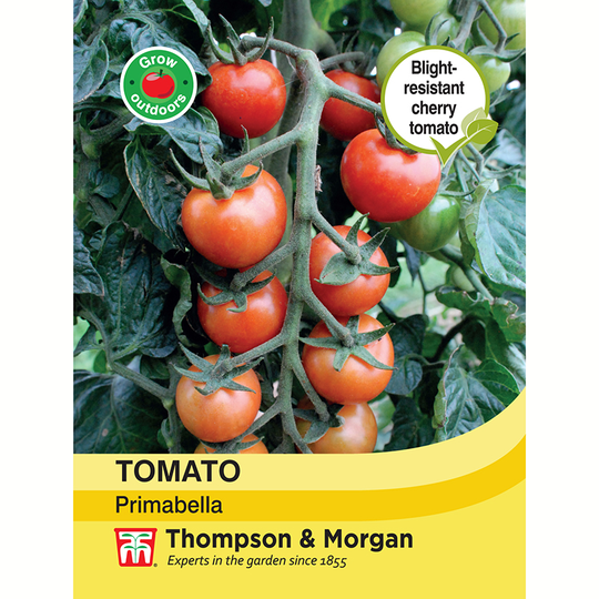 Tomat 'Primabella'