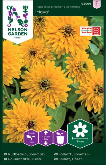 Nelson Garden Rudbeckia Sommar Maya