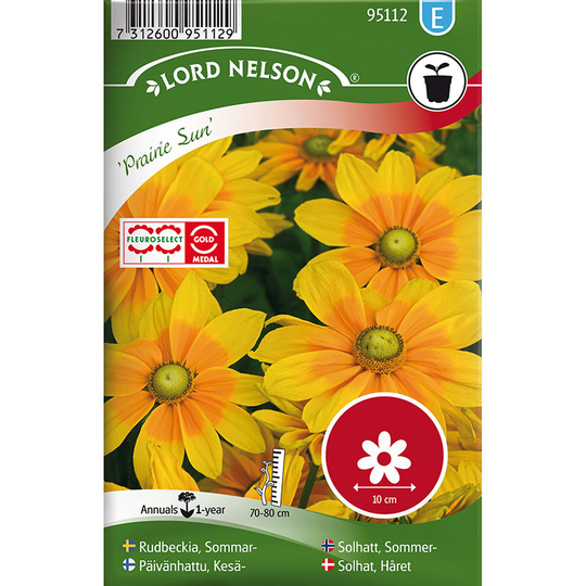 Sommarrudbeckia 'Praire Sun'
