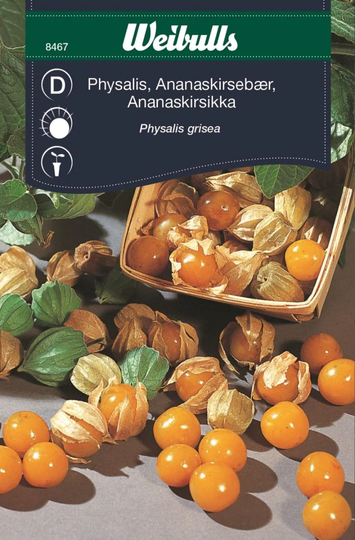 Weibulls Physalis