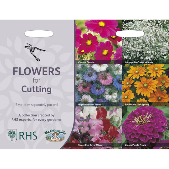 Sommarblommor för buketter 6 sorter