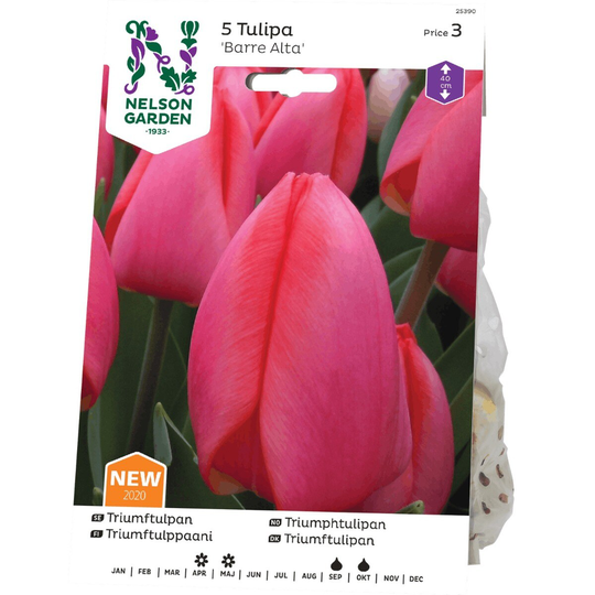 Nelson Garden Tulpan Triumf Barre Alta